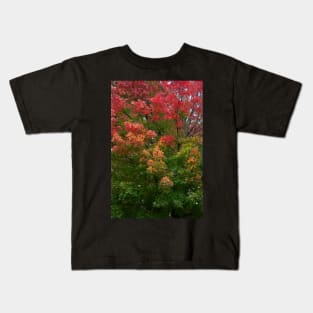 Autumn fall changing leaves red green thanksgiving Kids T-Shirt